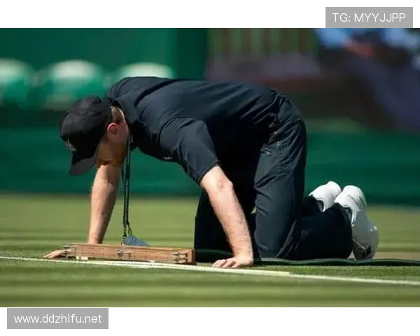 郑赛赛这日常简直辣眼，居然还藏着这么壕的生活细节？