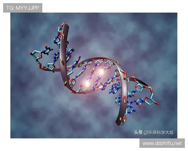 面对顶级防守体系：迪巴拉的突破与创造能力