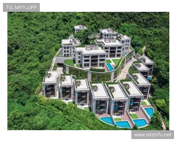 阿尔瓦雷斯居然拿几个豪宅对比普通人住的地方，差距太夸张了吧？